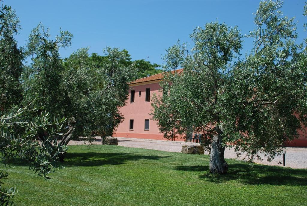Agriturismo Le Coccinelle Pensionat Magliano in Toscana Eksteriør billede