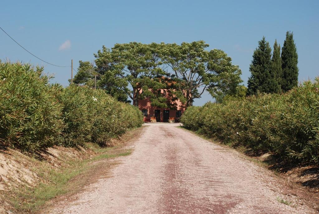 Agriturismo Le Coccinelle Pensionat Magliano in Toscana Eksteriør billede