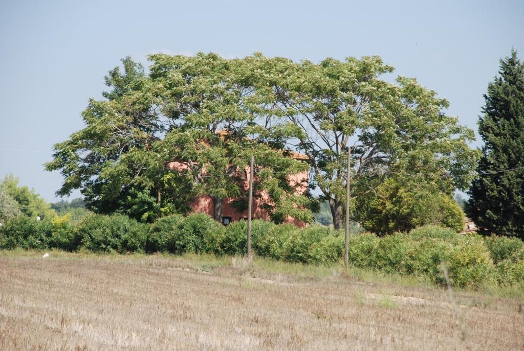 Agriturismo Le Coccinelle Pensionat Magliano in Toscana Eksteriør billede