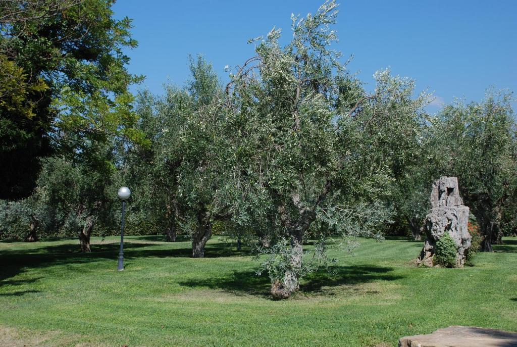 Agriturismo Le Coccinelle Pensionat Magliano in Toscana Eksteriør billede