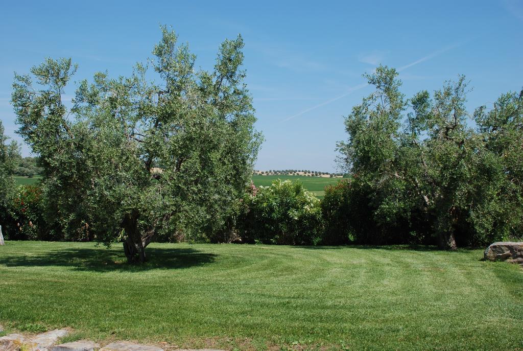 Agriturismo Le Coccinelle Pensionat Magliano in Toscana Eksteriør billede