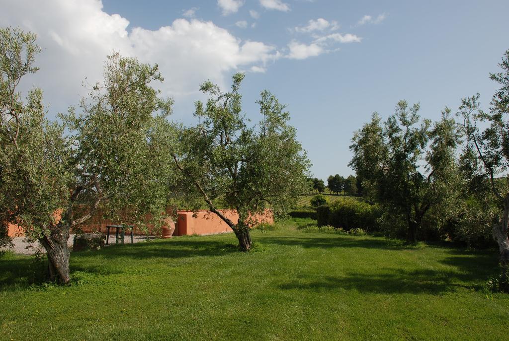 Agriturismo Le Coccinelle Pensionat Magliano in Toscana Eksteriør billede