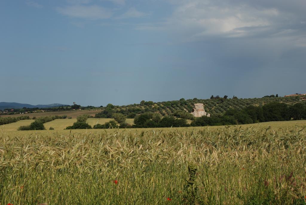 Agriturismo Le Coccinelle Pensionat Magliano in Toscana Eksteriør billede